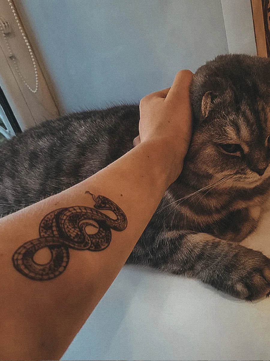 Змея